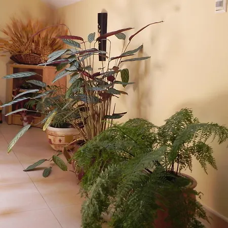 O Lar De Carmina Maison d'hôtes Devesa