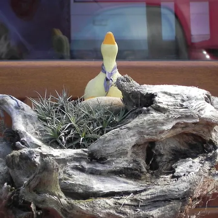 Πανσιόν O Lar De Carmina