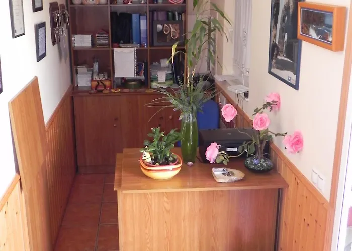 O Lar De Carmina Devesa