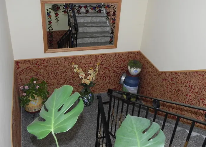 Konukevi O Lar De Carmina