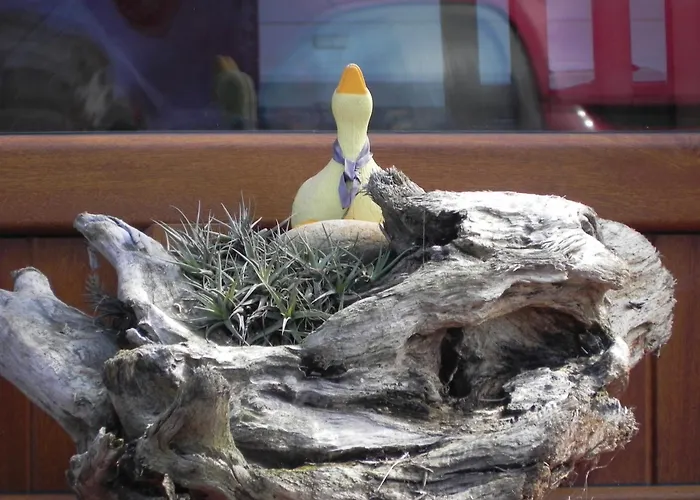 Πανσιόν O Lar De Carmina